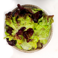 Farm Leaf Salad Farm Leaf Salad